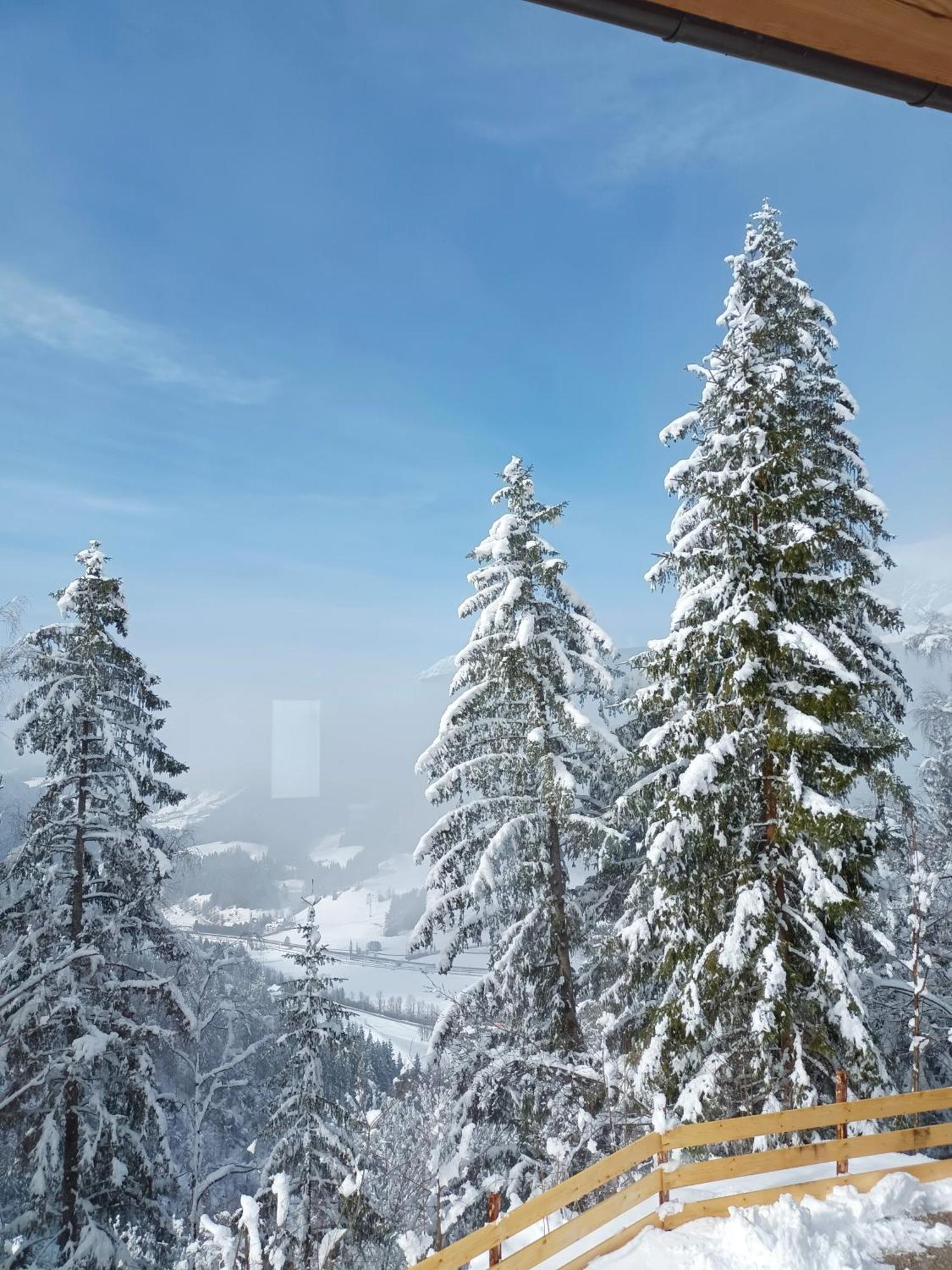 Chalet Leni Schladming Luaran gambar