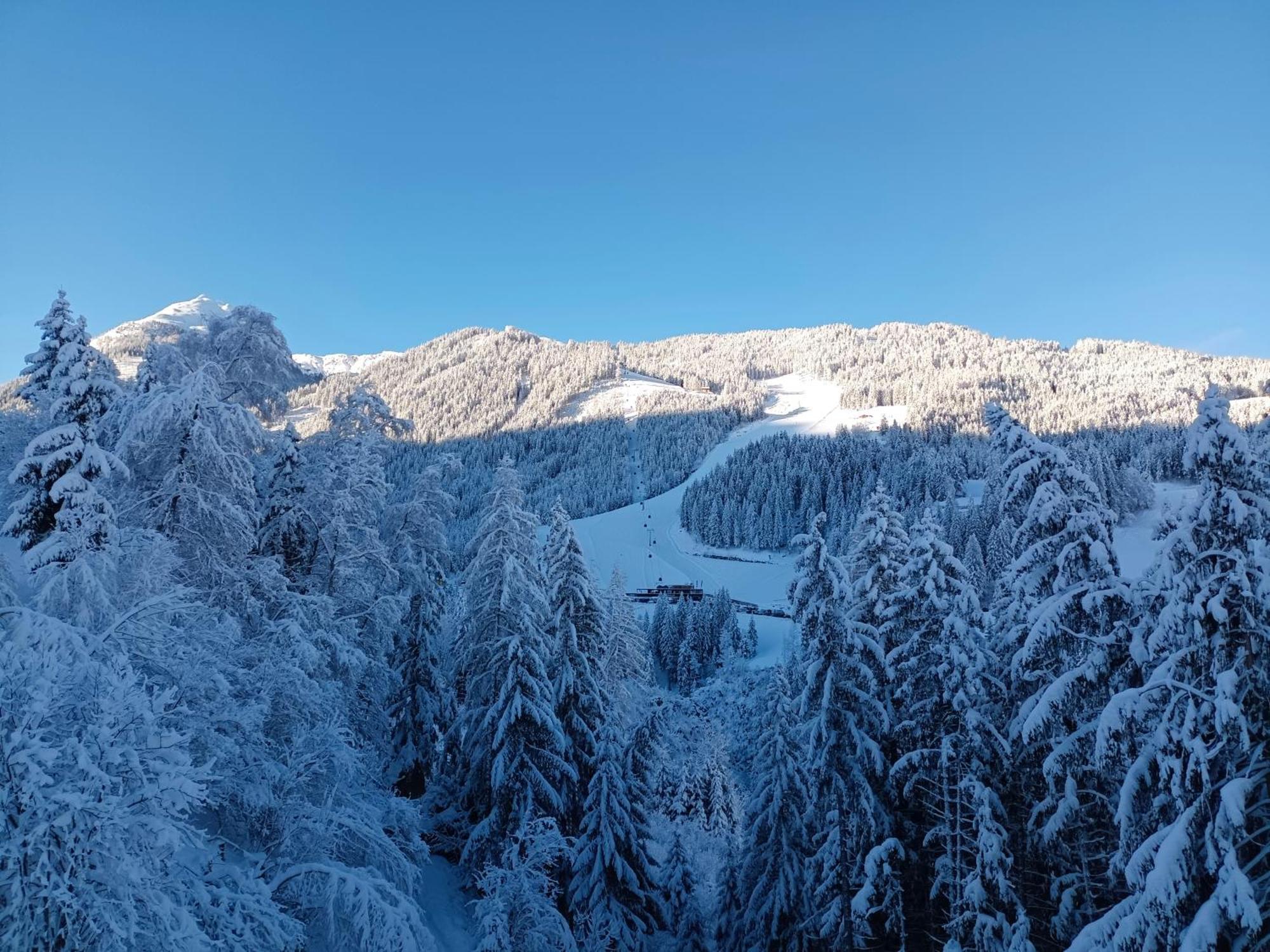 Chalet Leni Schladming Luaran gambar